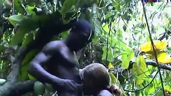 Interracial Passion: African Beauty Meets French Stud