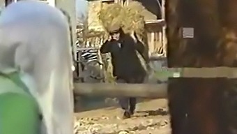 Turkkilainen Pari Harjoittaa Intohimoinen Suudella Ja Aistillinen Pelata